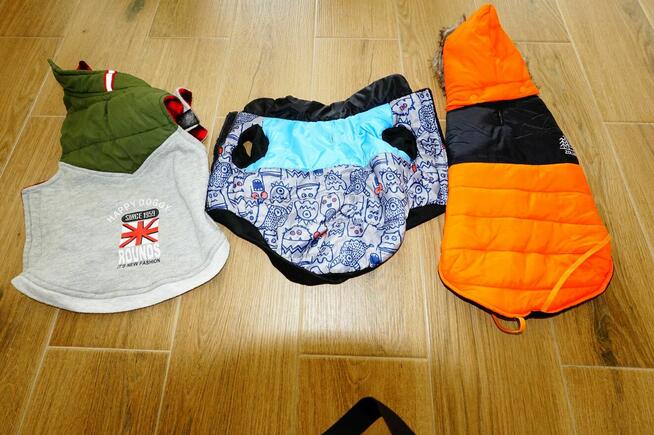 ubranka dla piesków małych i dużych