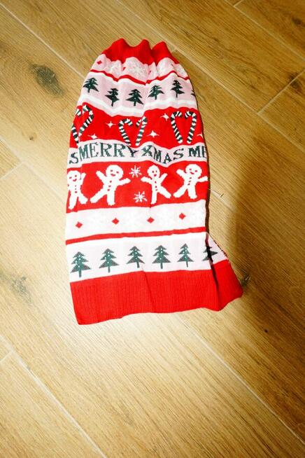 ubranka dla piesków małych i dużych