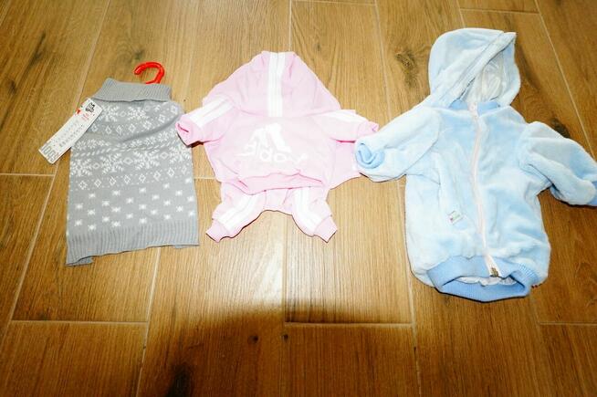 ubranka dla piesków małych i dużych