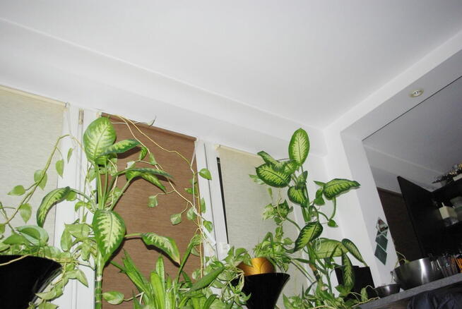 Warszawa Rakowiec ekskluzywna kawalerka