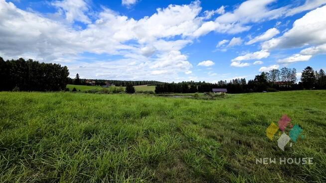 Działka z widokiem na las, możliwość zabudowy