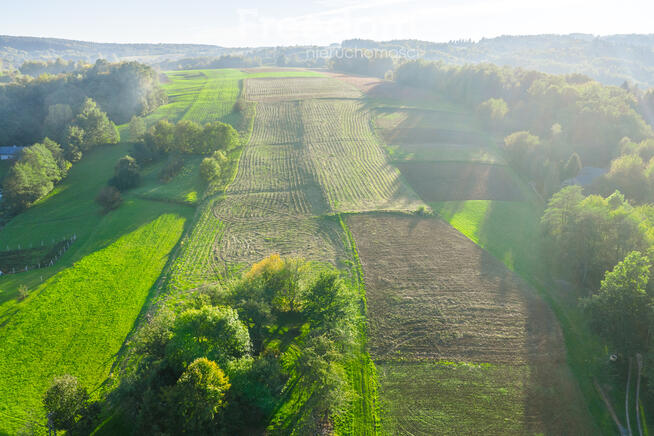 Działka 14a z warunkami zabudowy w gminie Lubenia