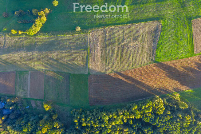 Działka 14a z warunkami zabudowy w gminie Lubenia