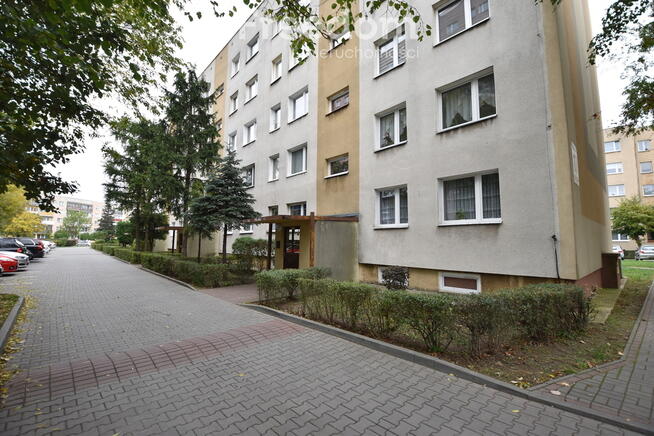 Dwupokojowe mieszkanie na os. Pułankach