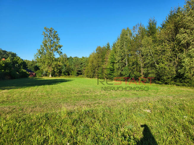 Działka siedliskowa Karnice gm. Puszcza Mariańska,