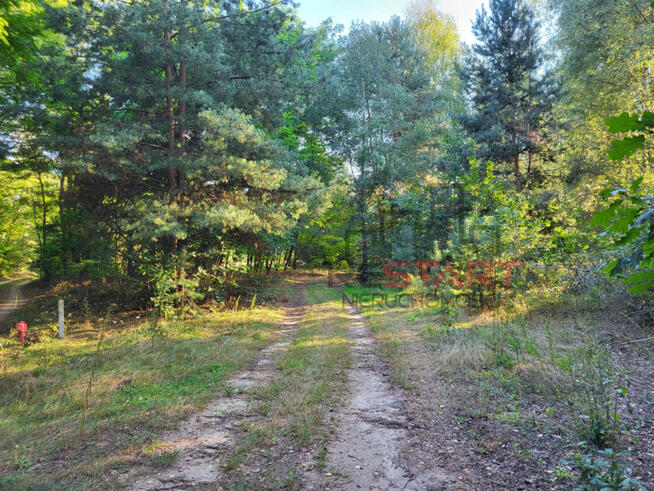 Działka rolna Borszyce gm. Kowiesy,