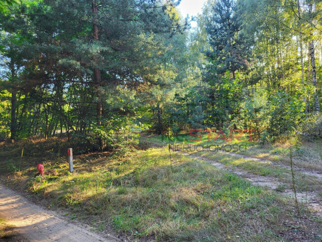 Działka rolna Borszyce gm. Kowiesy,