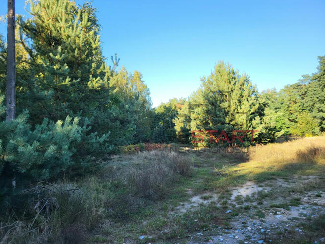 Działka rolna Borszyce gm. Kowiesy,