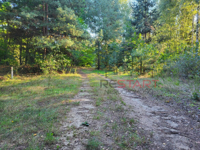 Działka rolna Borszyce gm. Kowiesy,