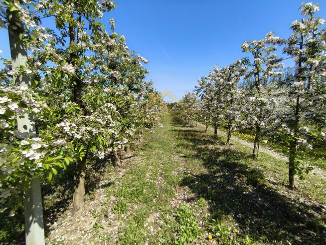 Dom Turowa Wola gm. Kowiesy