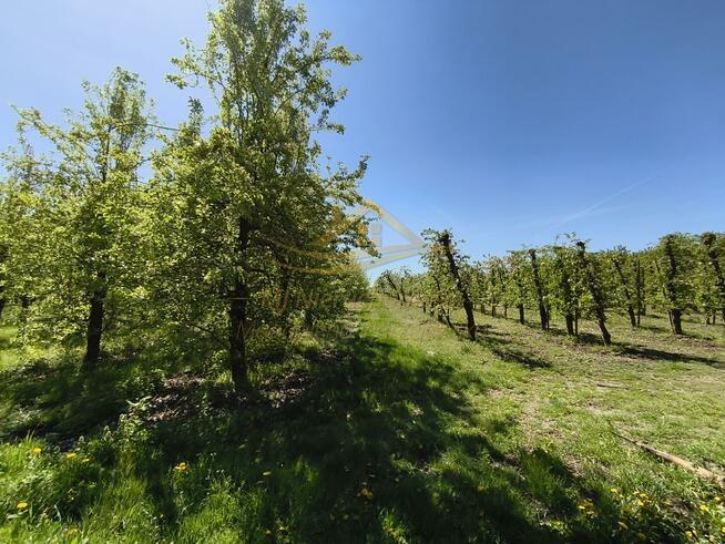 Dom Turowa Wola gm. Kowiesy