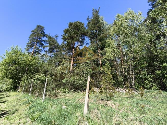 Dom Turowa Wola gm. Kowiesy