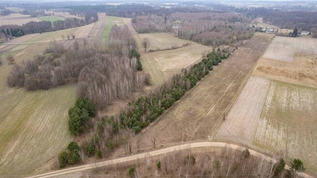 Działka | Sprzedaż | 2,8 ha | Sadek gm. Glinojeck