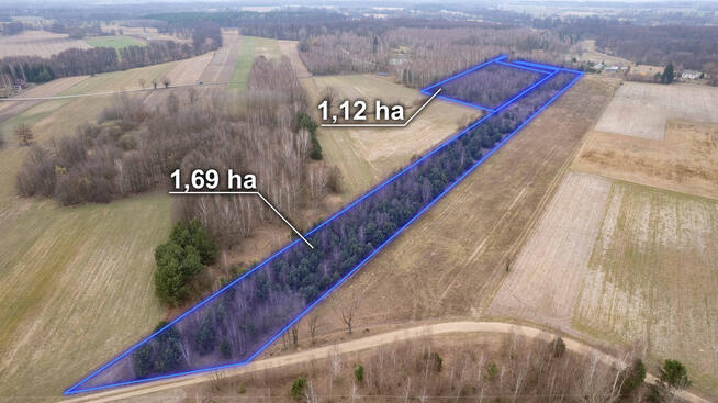 Działka | Sprzedaż | 2,8 ha | Sadek gm. Glinojeck