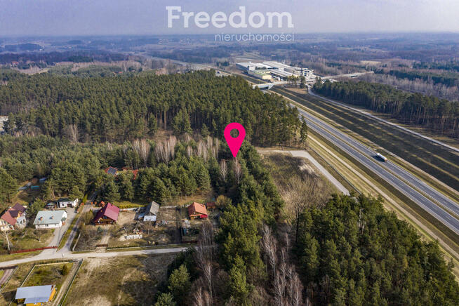 Działka Zarzecze, WZ