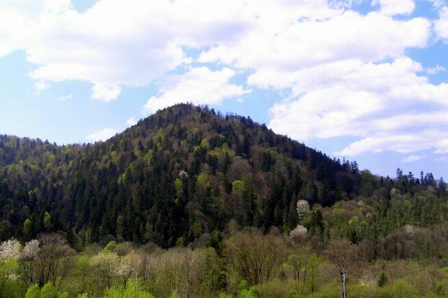 Malownicze działki, Bystre. Obok wyciag narciarski! Sciezki