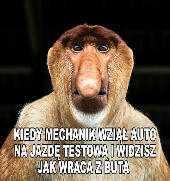 Młodszy pozna dojrzalsza