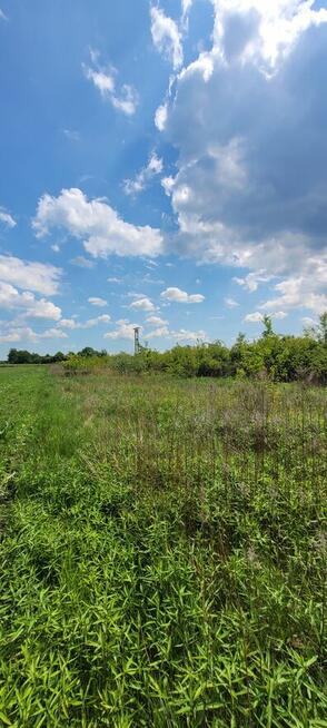 Dom w Kamieniu, gmina Łaziska, powiat opolski, woj.lubelskie