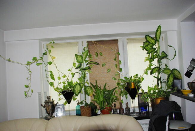 Warszawa Rakowiec ekskluzywna kawalerka