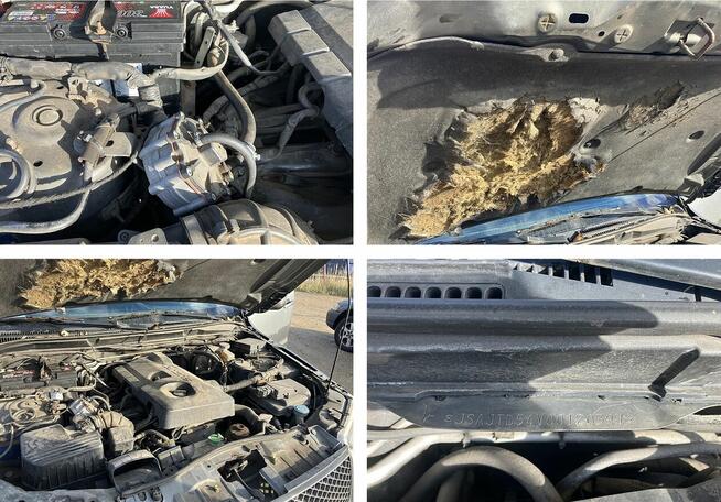 Suzuki Grand Vitara - 2006 r.