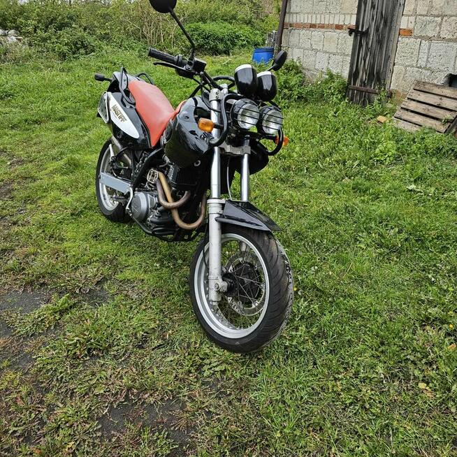 MZ BBAGHIRA 660 oraz Mastiff MZ 660