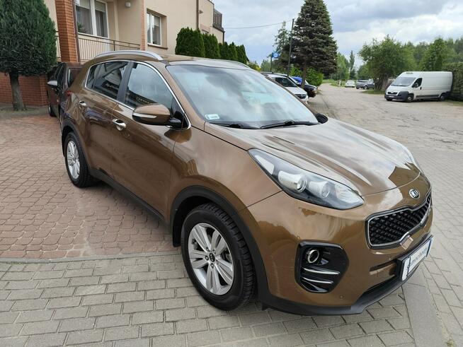 Kia Sportage BUSINESS LINE/SALON POLSKA/serwis ASO/stan bdb/gwarancja