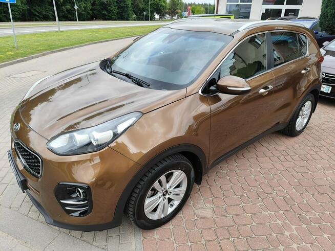 Kia Sportage BUSINESS LINE/SALON POLSKA/serwis ASO/stan bdb/gwarancja