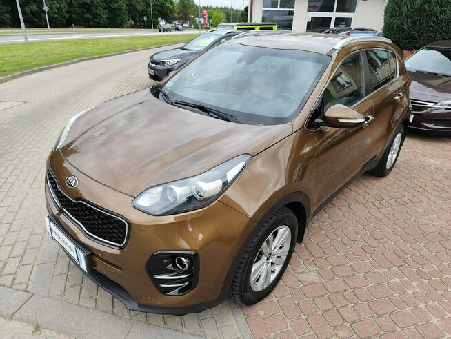 Kia Sportage BUSINESS LINE/SALON POLSKA/serwis ASO/stan bdb/gwarancja