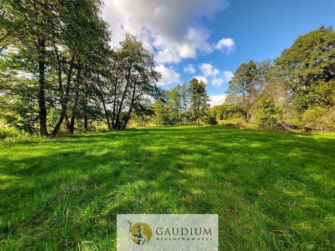 Enklawa pośród pól - 1ha piękna i ciszy | Kobysewo