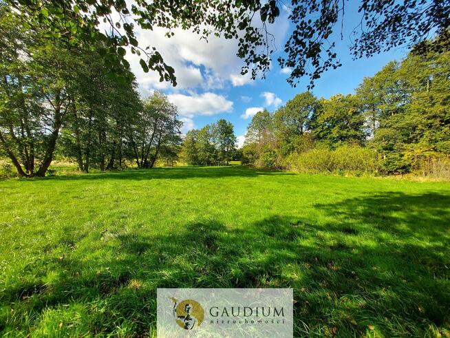 Enklawa pośród pól - 1ha piękna i ciszy | Kobysewo