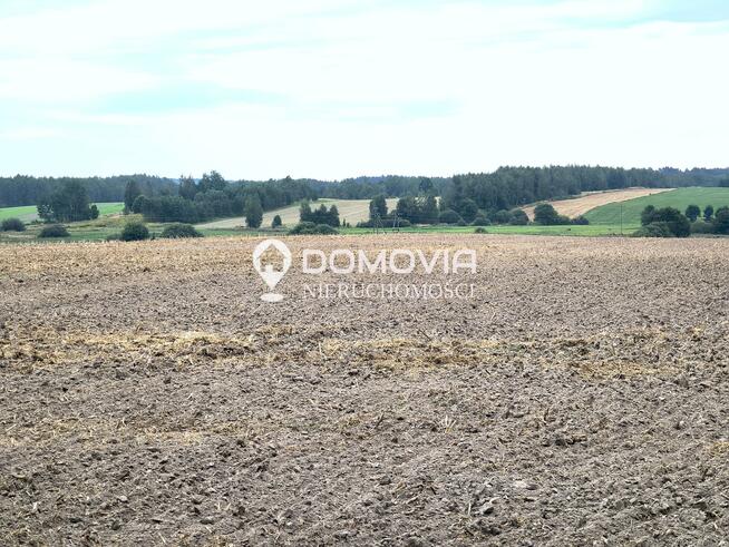 Dom Suchowola gm. Adamów