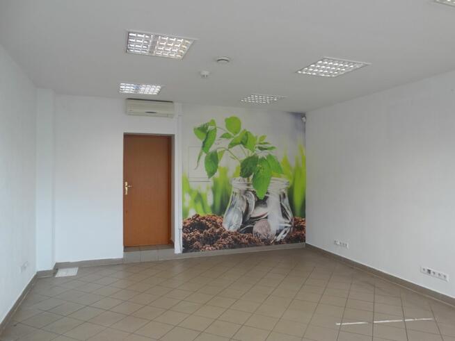 Lokal użytkowy Legnica,