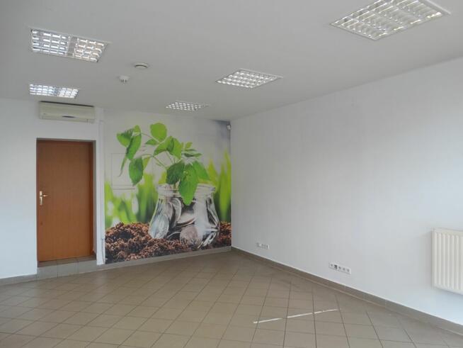 Lokal użytkowy Legnica,