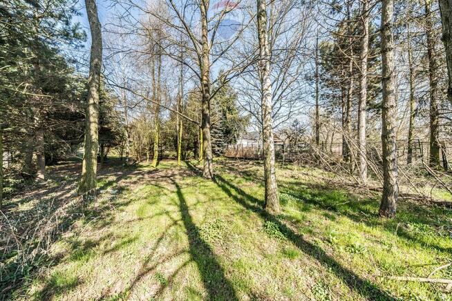 Szczepankowo|wolnostojący|basen|inwestycja