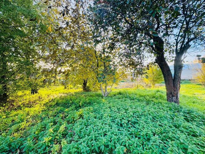 Działka budowlana 1766 m² z garażem – Niedobczyce