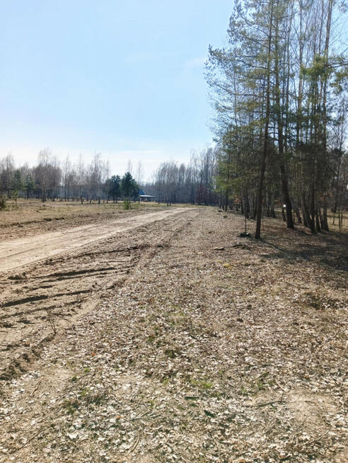 Działka budowlana przy lesie , malownicza okolica