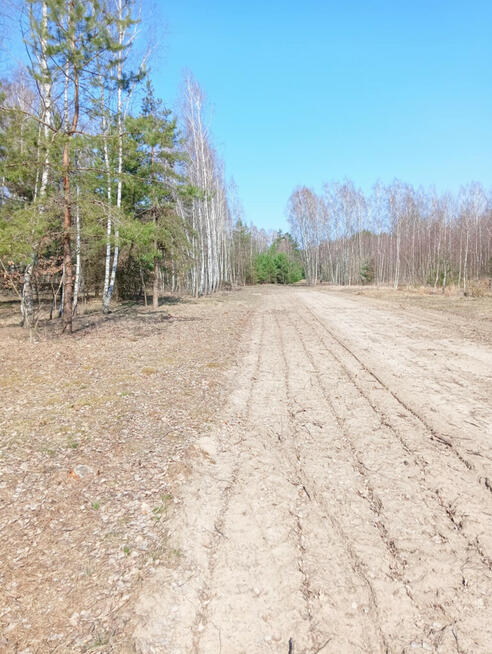 Działka budowlana przy lesie , malownicza okolica