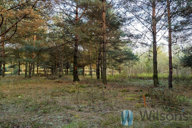 Działka rolna Czosnów, Cząstków Polski