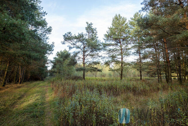 Działka rolna Czosnów, Cząstków Polski