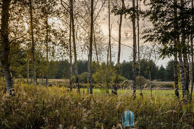 Działka rolna Czosnów, Cząstków Polski