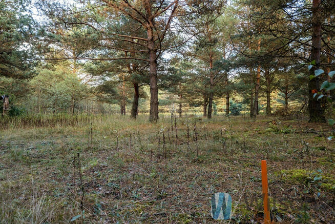 Działka rolna Czosnów, Cząstków Polski