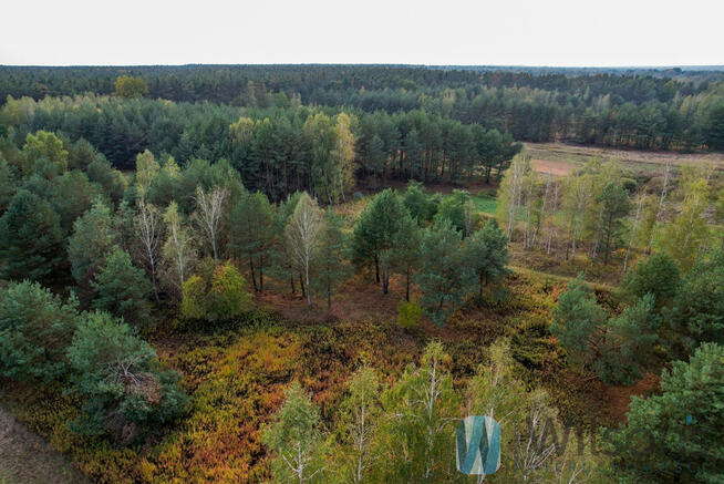 Działka rolna Czosnów, Cząstków Polski