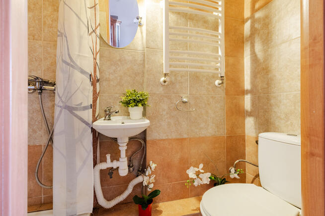 ✅Sprawdź>>> 5 pokoi w zielonej okolicy✅