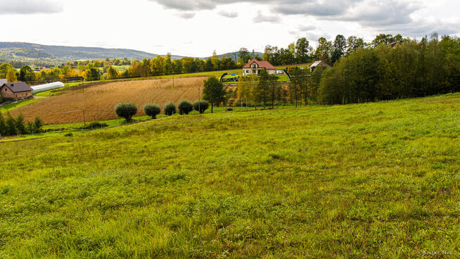 Rolno-budowlana 31 ar z WZ w miejscowości Tworkowa