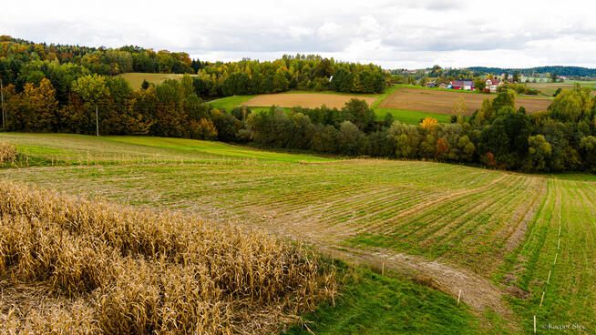 Działka Lichwinie. Rolno-leśna, OKAZJA !!