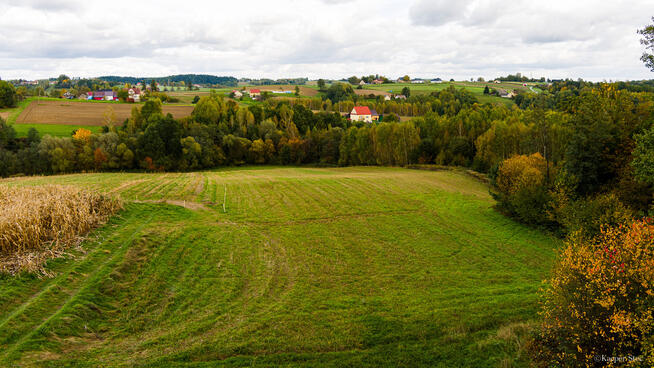 Działka Lichwinie. Rolno-leśna, OKAZJA !!