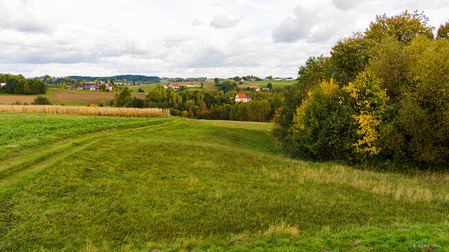 Działka Lichwinie. Rolno-leśna, OKAZJA !!