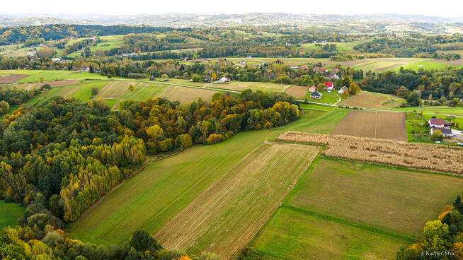 Działka Lichwinie. Rolno-leśna, OKAZJA !!