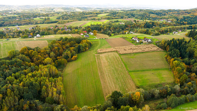 Działka Lichwinie. Rolno-leśna, OKAZJA !!
