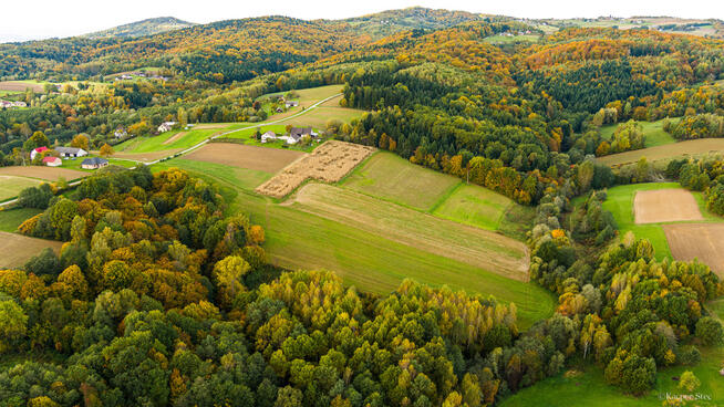 Działka Lichwinie. Rolno-leśna, OKAZJA !!
